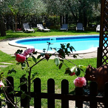 Residence Villa Degli Aranci Рива дел Гарда Екстериор снимка